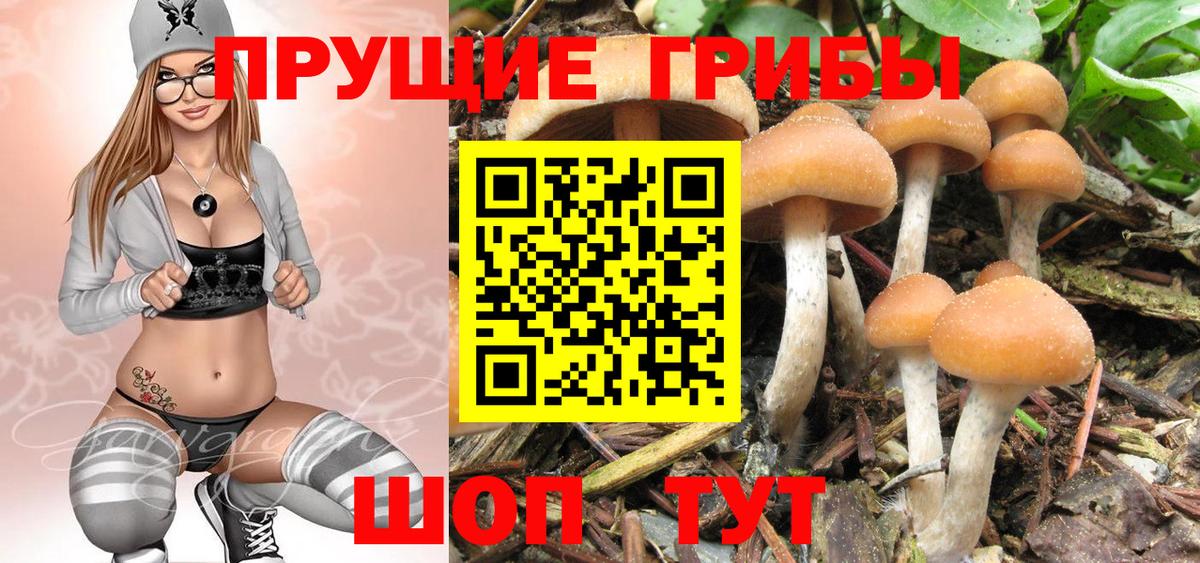 Галлюциногенные грибы прущие грибы Асбест